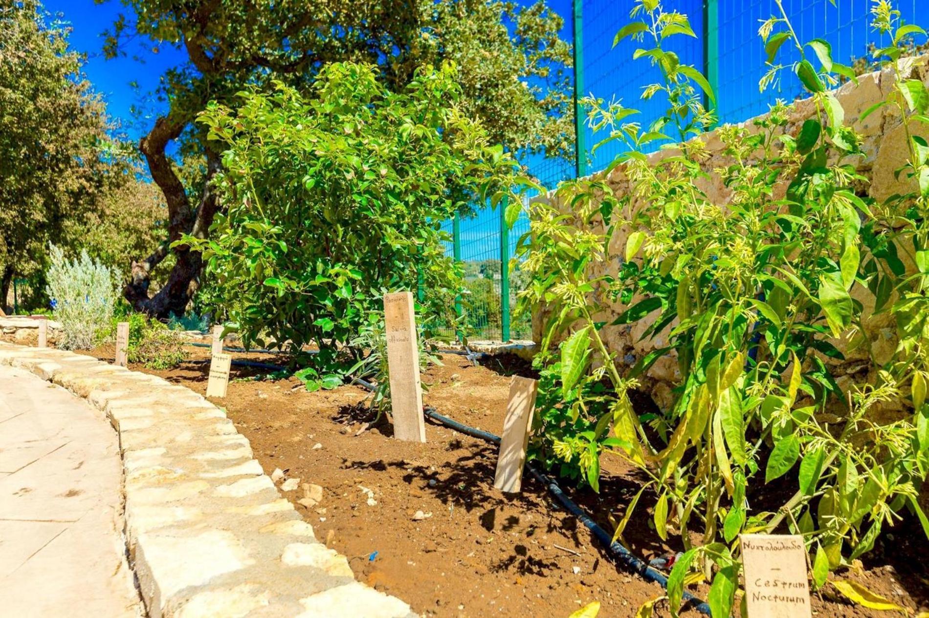 Villa Trules Fotinos Εξωτερικό φωτογραφία